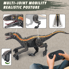 RC Dinosaur Toy - Velociraptor with 3D Eyes, Shaking Head, Light & Sounds